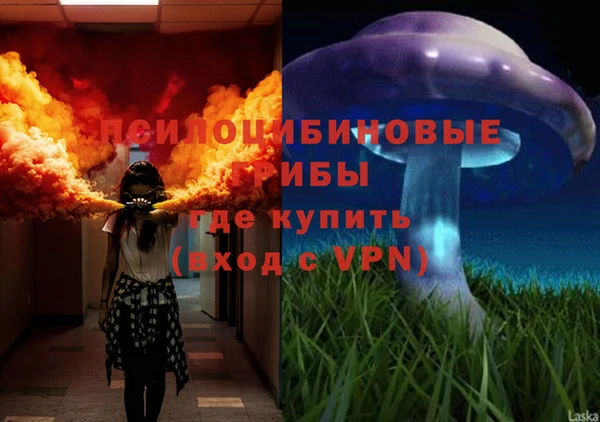 дистиллят марихуана Заводоуковск
