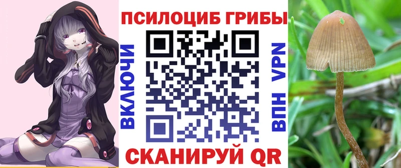 Псилоцибиновые грибы Magic Shrooms  Купить  Малоярославец 